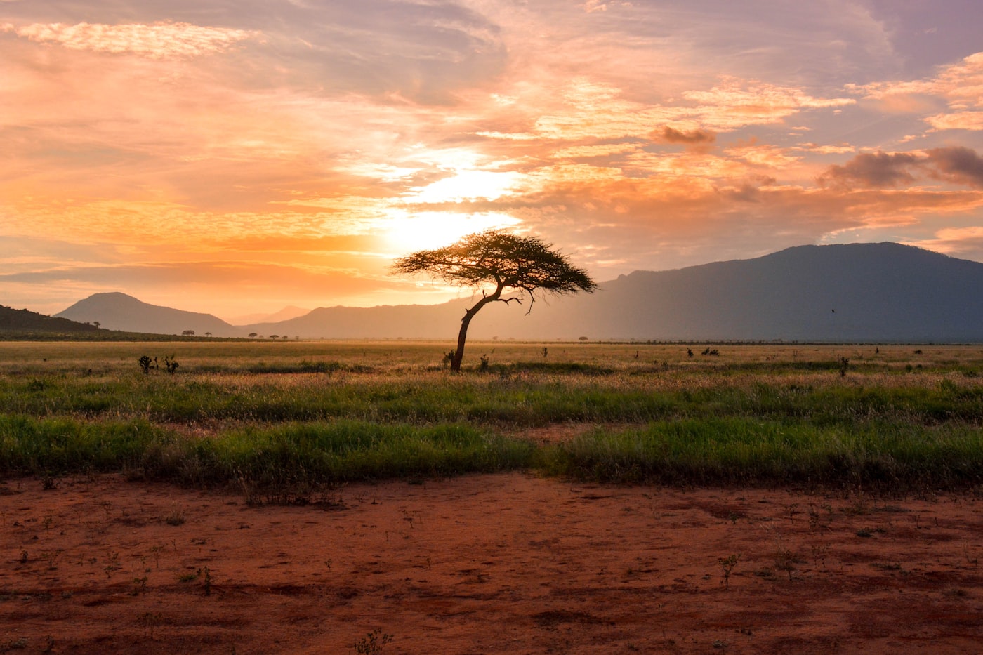 Maasai Mara, Kenya