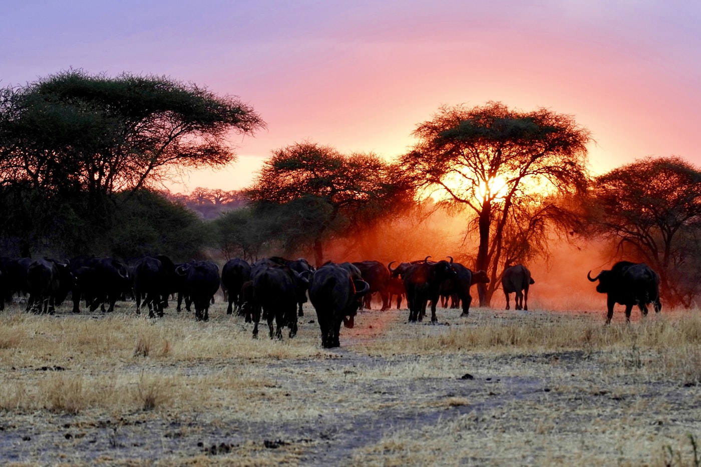 Okavango Delta, Botswana