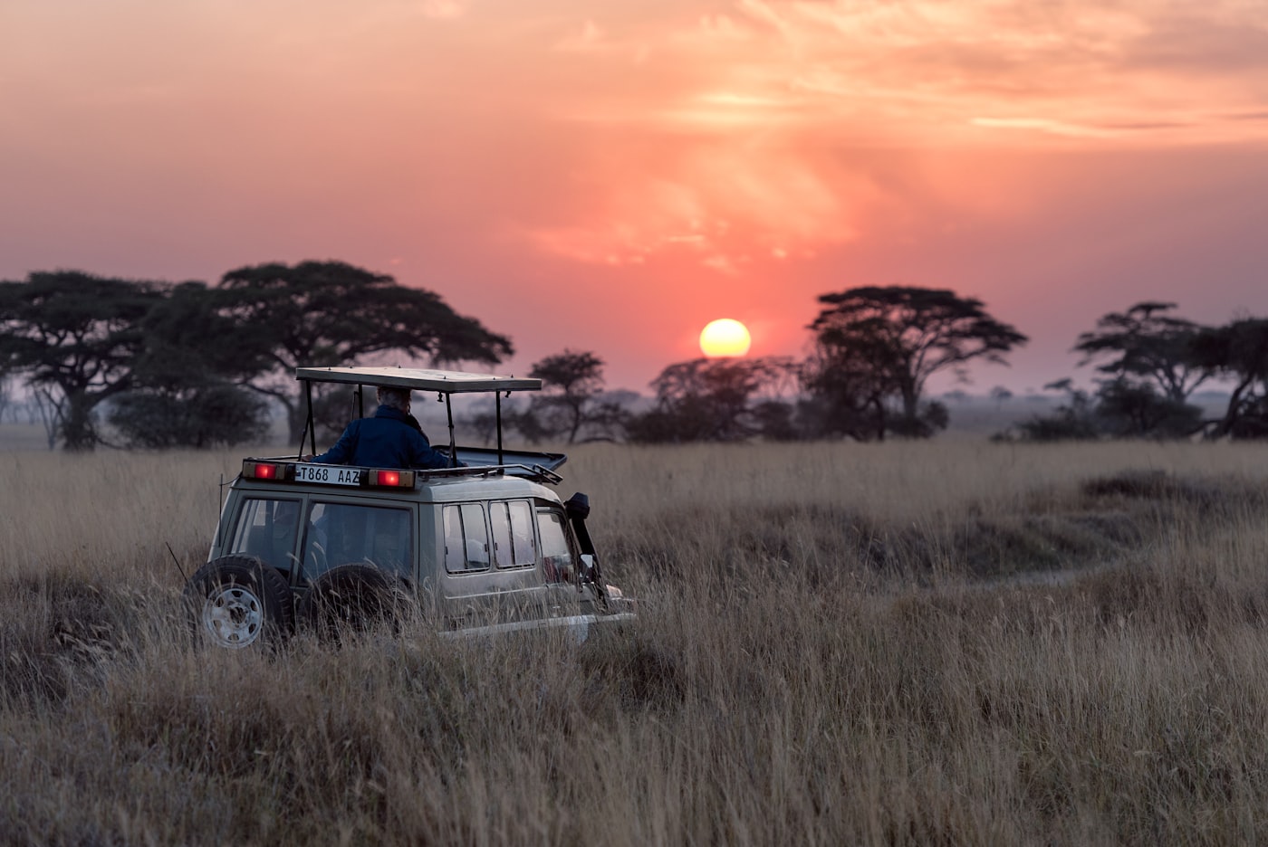 Northern Serengeti, Tanzania